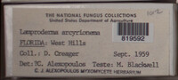 Image Associated With the Occurence